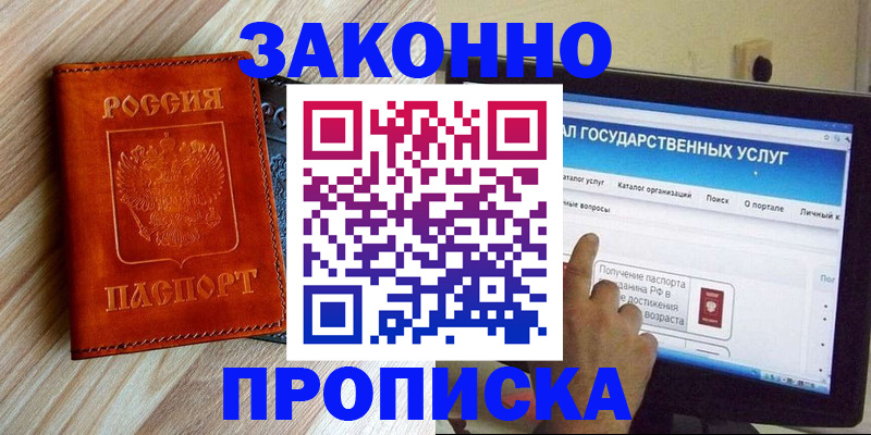 прописка гарантия в Кингисеппе